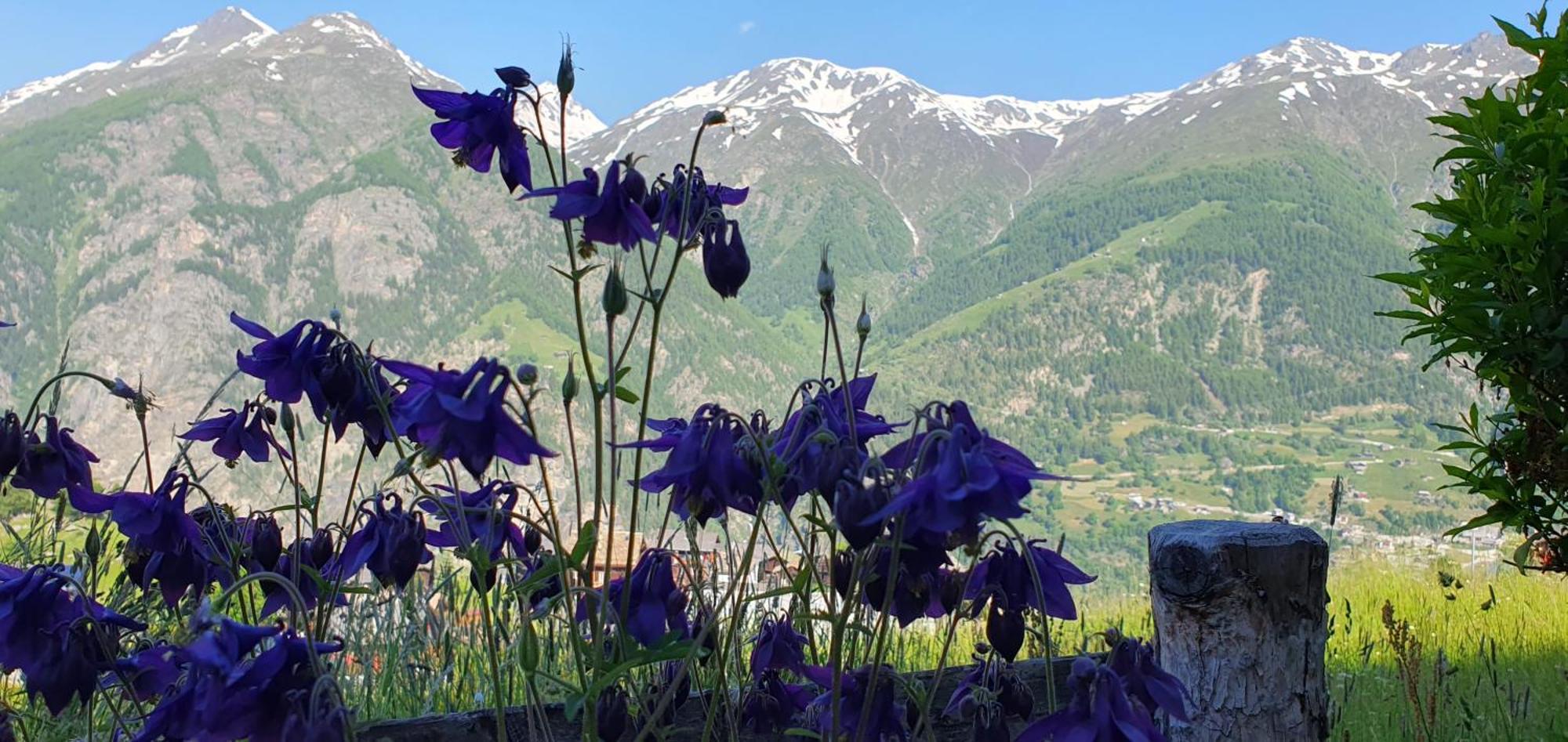 Chalet Schneevogul Grächen Екстериор снимка