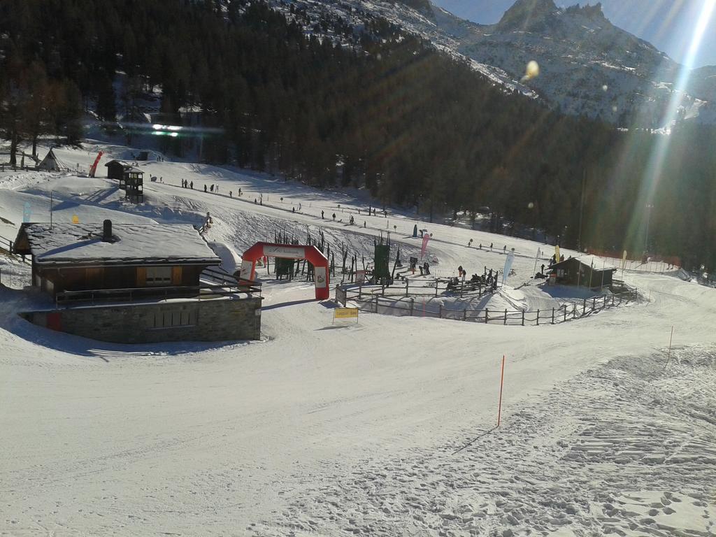 Chalet Schneevogul Grächen Екстериор снимка